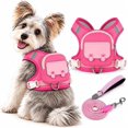 Pet Backpack Harness & Leash Set, Built-in Storage for Everyday Dog ...