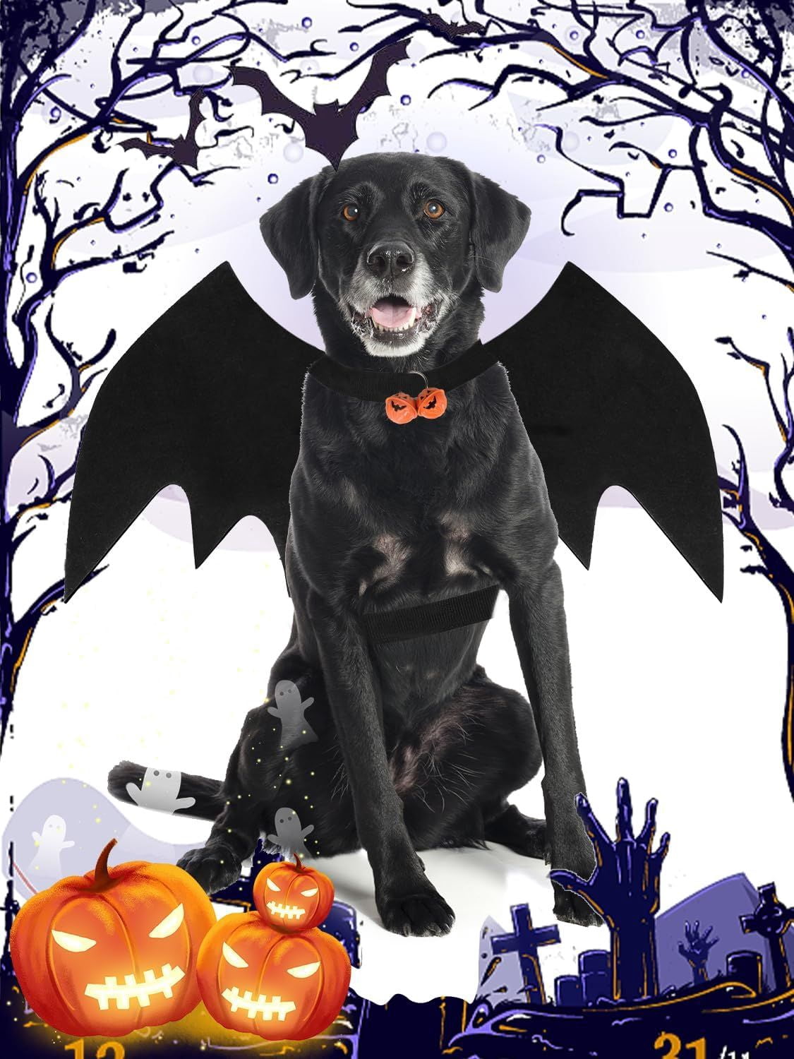 Pet Bat Wing Costume with Adjustable Velcro Straps for Dogs and Cats Halloween Party Cosplay