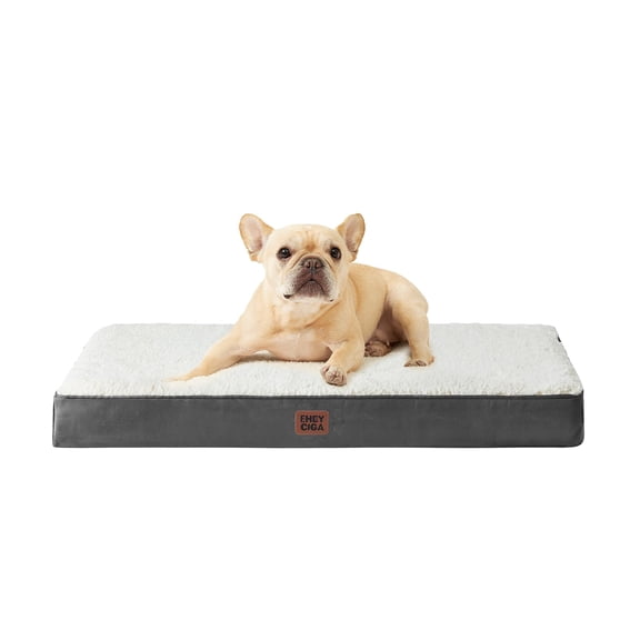 Pet Bed Beige 30x20x3.5 Inches Egg Crate Foam Orthopedic for Dogs