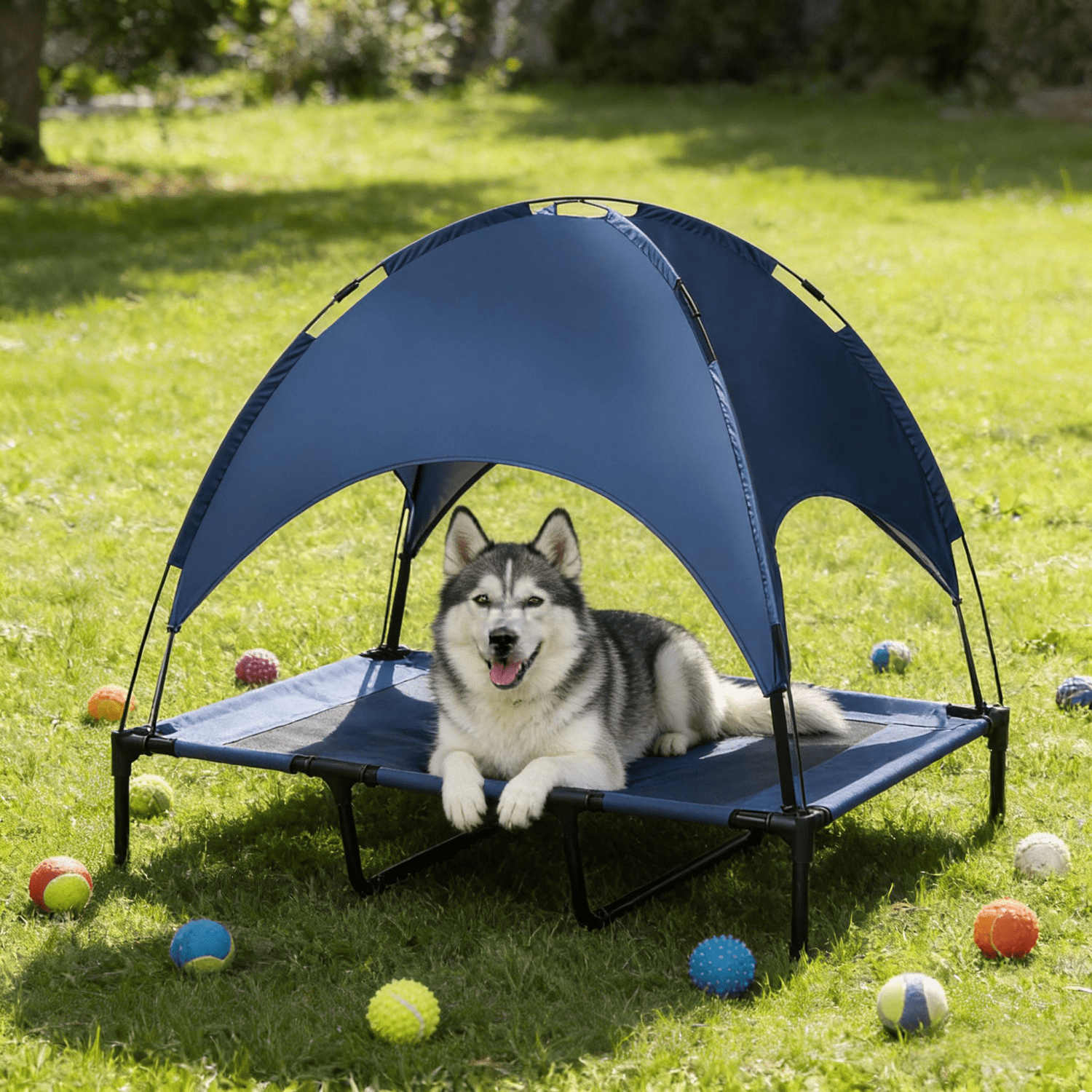 Pet Bed Elevated Portable Dog Cot