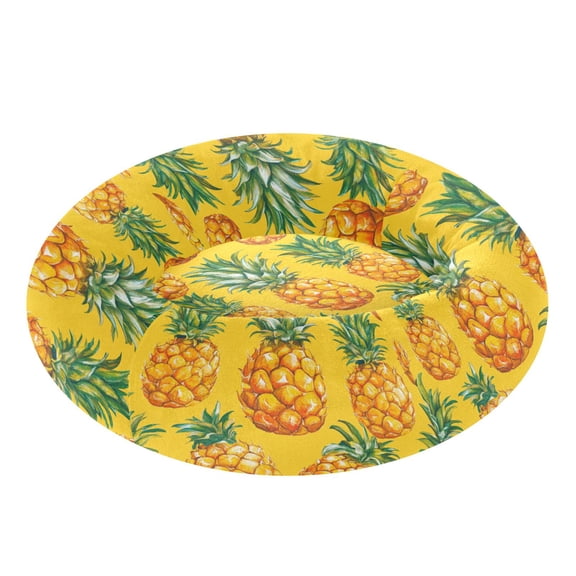 Pet Bed Pet Mat Cozy Removable & Washable Comfort For Cats And Dogs Abstract Painting Of Pineapple