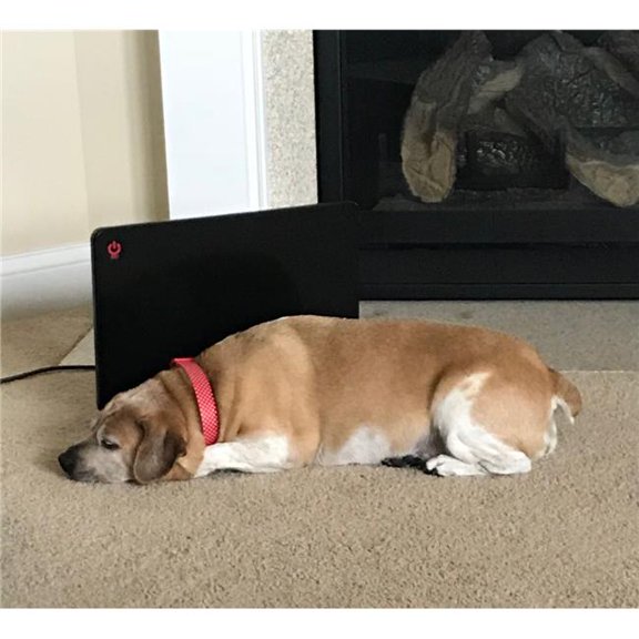 Pet Bed Warmer - 19 x 13 x 0.62 in.