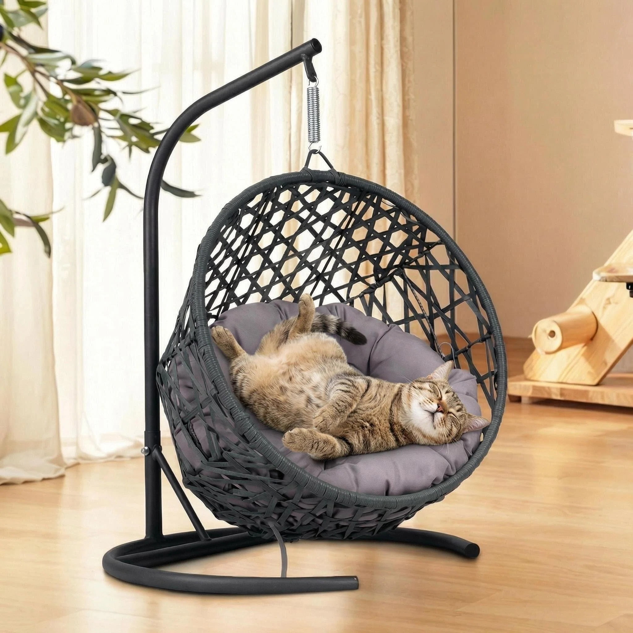 Dogs Swing