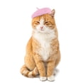 thumbnail image 1 of Pet Beret Hat For Small Medium Cats Dogs - Pink Pet Headwear With Classic Beret Design, Comfortable Felt Material - Daily Wear, Party Dress - Up, Photography Prop For Pet Lovers, 1 of 7