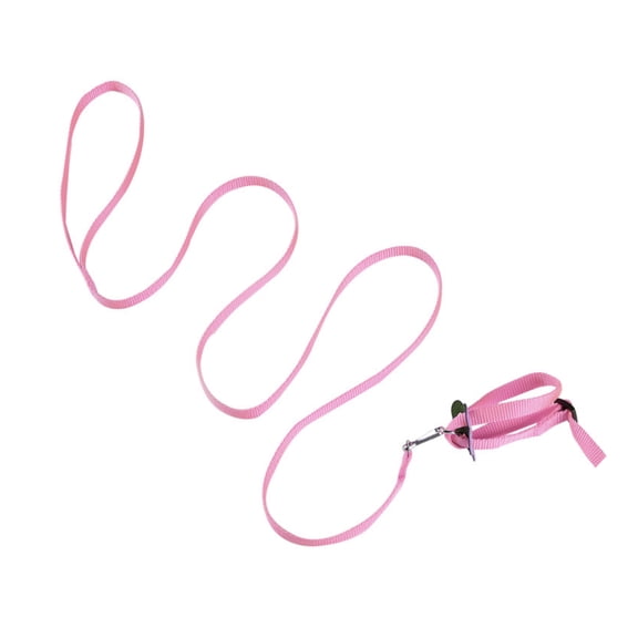 Pet Bird Harness Leash Adjustable Parrot Flying Rope 8-Shaped for Parrots Pigeons Lovebird Outdoor Training