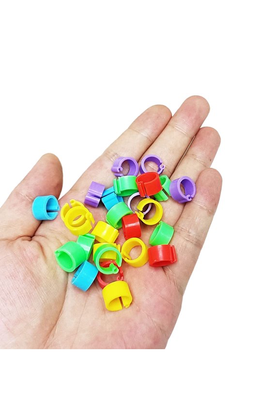 Pet Bird Rings Leg Labels for Bird Management Pigeons Accessory Assorted Color Bird Foot Rings Clip-on-Leg Anti-Lost