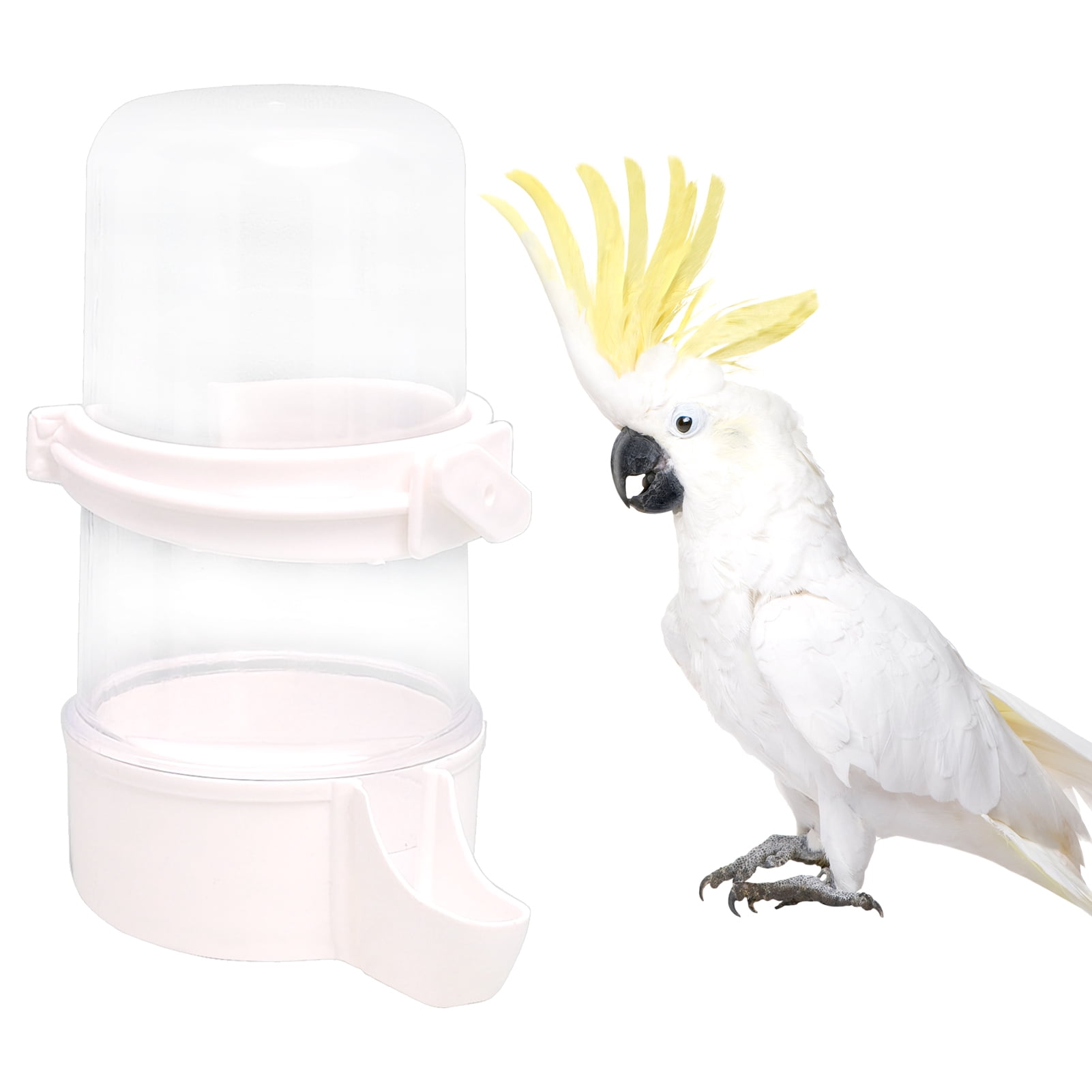 WQY Automatic Pet Bird Water Feeder - 400ml Cage Dispenser For Parakeets, Budgies, Cockatiels - View #10