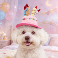 thumbnail image 1 of Pet Birthday Hat, Plush Cake Design with 5 Candles, Adjustable Party Hat for Dogs and Cats, 7.1 x 2.6 Inch - (Pink), 1 of 8