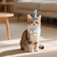 thumbnail image 1 of Pet Birthday Set, Includes 1 Birthday Hat And 1 Embroidered Bib With 'Happy Birthday' Text And Bow Accent For Dogs And Cats Birthday Celebrations, 1 of 5