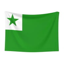 Pet Blanket Flag Of Esperanto Soft Warm Sofa Car Bed Protector Washable for Puppy Large Dogs Cats