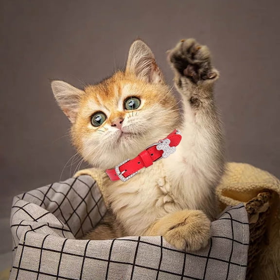 Stylish Rhinestone Bone Design Pet Collar with Secure Buckle for Dogs and Cats