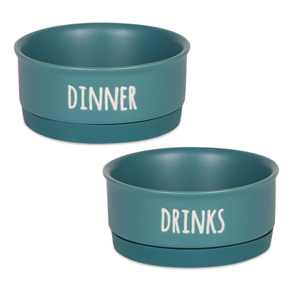 Pet Bowl Dinner And Drinks Teal Small (Set of 2)
