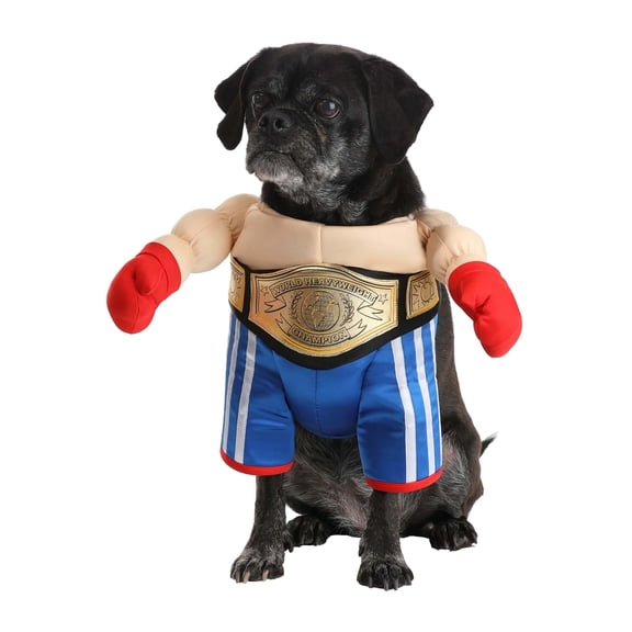 Pet Boxer Costume