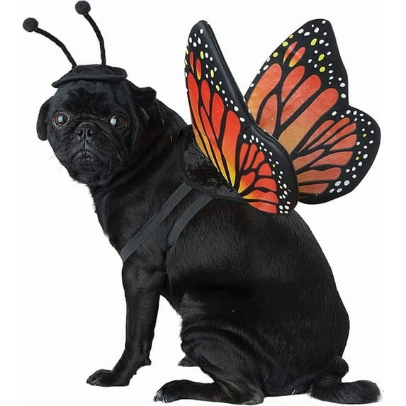 California Costumes Monarch Butterfly Pet Costume | Medium Unisex