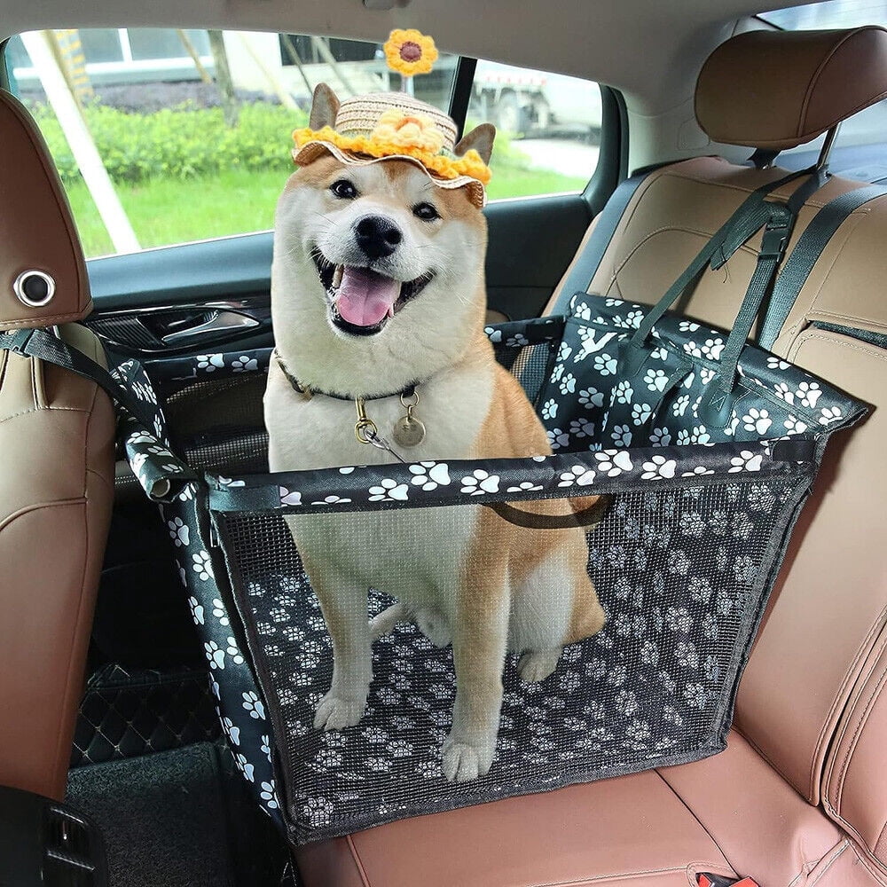 shiba inu dog seat belt reddit