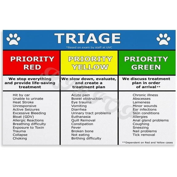 Pet Care Triage Poster Animal First Aid Grade Guide Veterinary Home Wall Decor