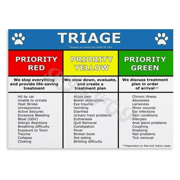 Pet Care Triage Poster Animal First Aid Grade Guide Veterinary Home Wall Decor