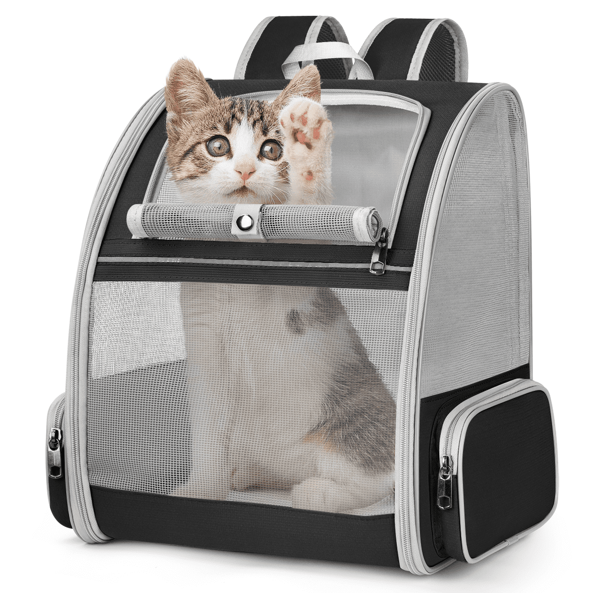 https://i5.walmartimages.com/seo/Pet-Carrier-Backpack-Cat-Small-Cats-Dogs-18lbs-Airline-Approved-Ventilated-Foldable-Dog-Safety-Leash-Side-Snack-Pocket-Outdoor-Black_d82a5864-e017-494a-8f0a-ddfc8625ef61.4d3dea1cc3094f12fe8598e119b33450.png