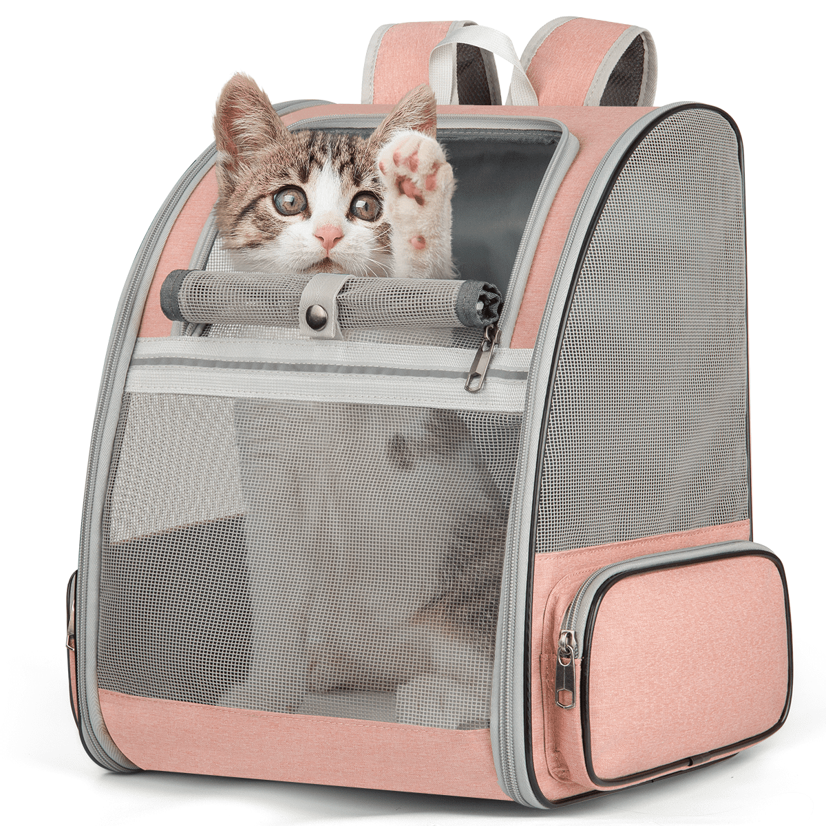 Lesure TSA Airline Approved Cat Carrier-2 in 1 Soft-Sided Pet Carrier  Backpack for Small Meduim Puppy and Cats up to 15 Lbs Grey