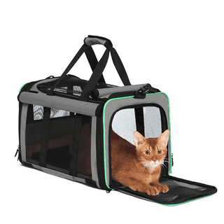 Cat crates walmart sales