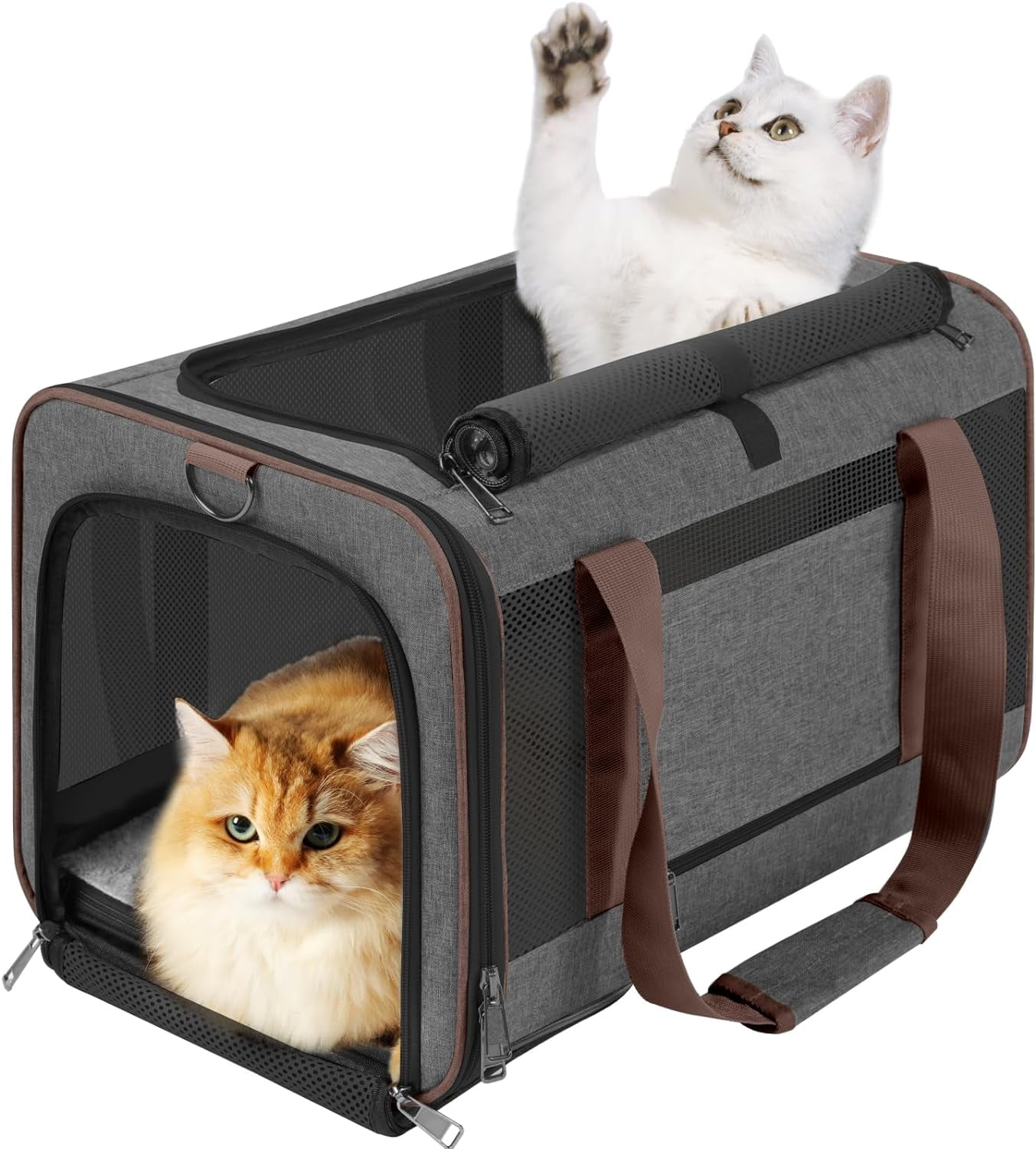 Curated visual reference: Picture Idea: Pet Carrier For Large Cats 20 Lbs Soft Sided Small