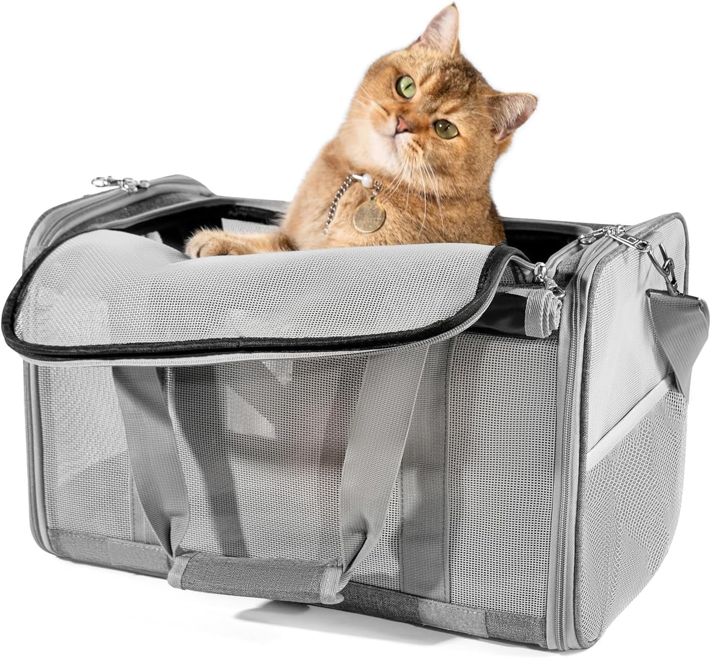 Pet Carrier for Large and Medium Cats, 17.7X 10.6X 10.6in Carriers for ...