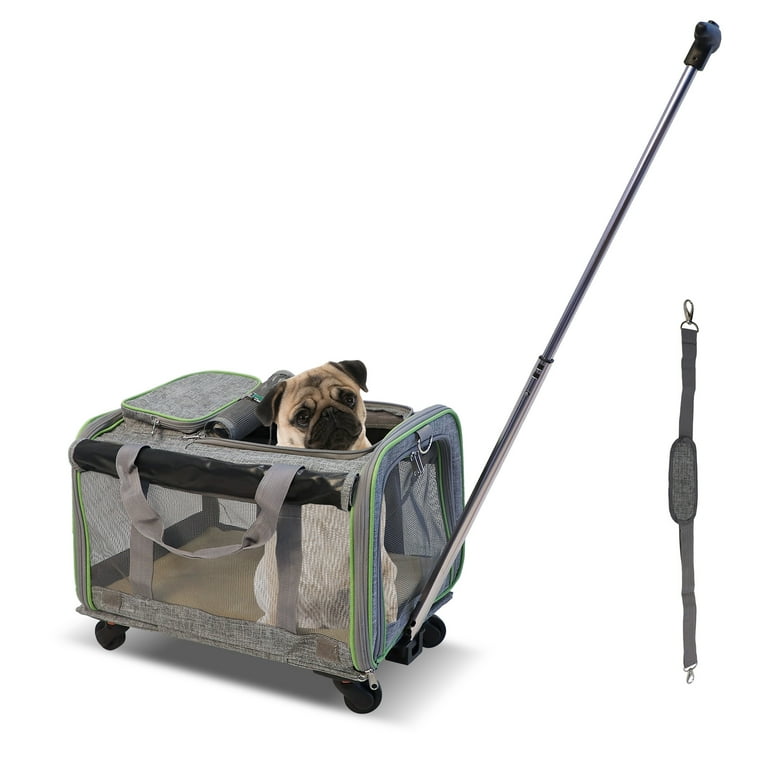 Collapsible pet carrier walmart 2025