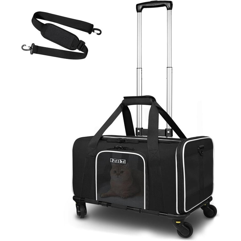 Allegiant carry on weight sale