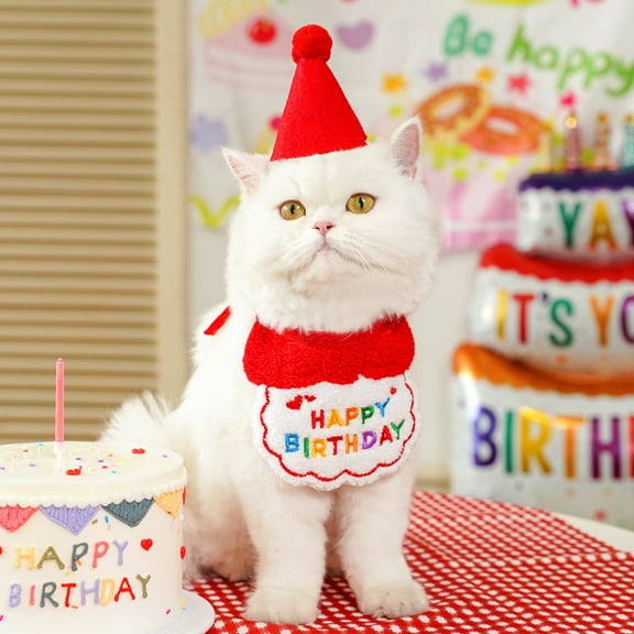 Pet Cat Birthday Party Set Red Hat Collar Headband Bow for Celebration Gift