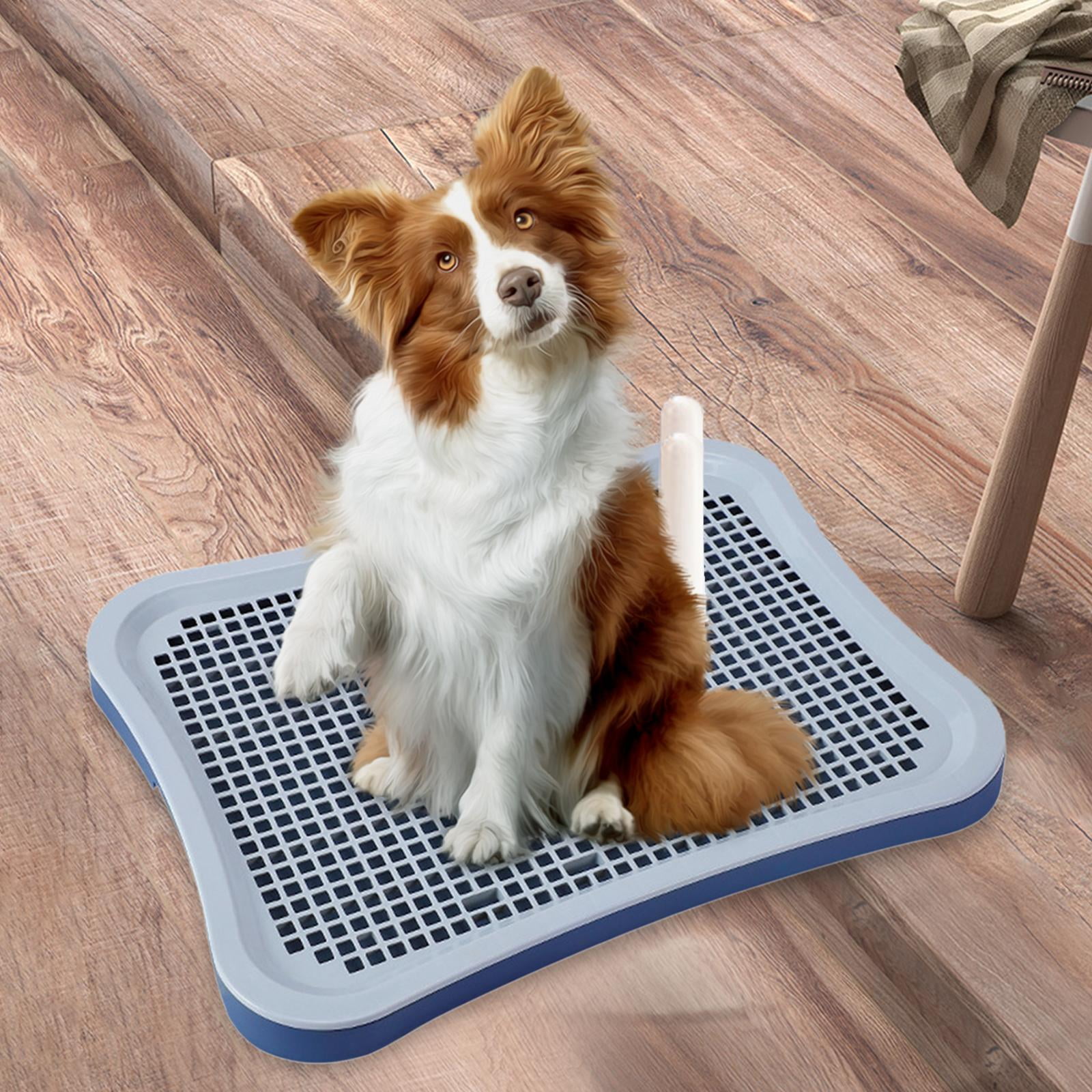 Pet Cat Training Toilet Tray Potty Trainer Easy to Clean Litter Bedding