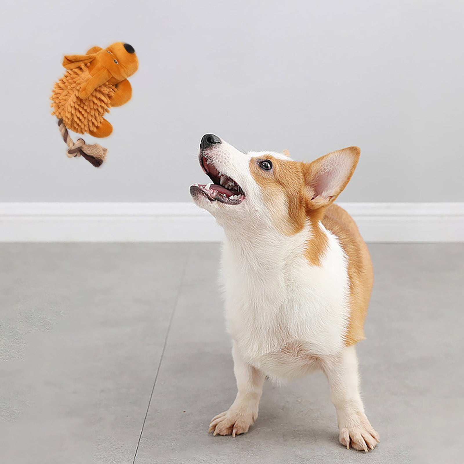 Pet for Cats Indestructible Dog Dragon Real Puppy Dogs for Dog Big Dogs