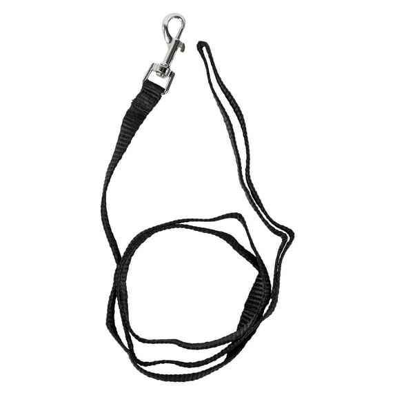 Pet Champion 4' Metal Standard Dog Leash, Black, S