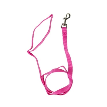 Pet Champion 4' Metal Standard Dog Leash, Pink, S