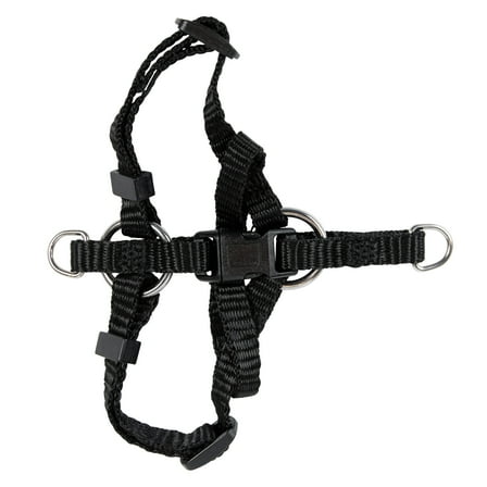 Pet Champion Basic Step-in Cat Harness