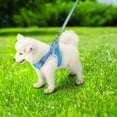 thumbnail image 1 of Pet Chest Strap with Bell D-Ring Breathable Reflective Magic Stickers Dog Vest Harness for Outdoor Walking Small Medium Large Dogs, Pink Blue, 1 of 9