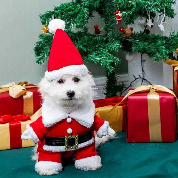 Pet Christmas Costume, Santa Claus Outfit, Velvet Holiday Dress for Dogs and Cats, Red Winter Apparel with Soft Cotton Material for Cold Weather Festive Wear