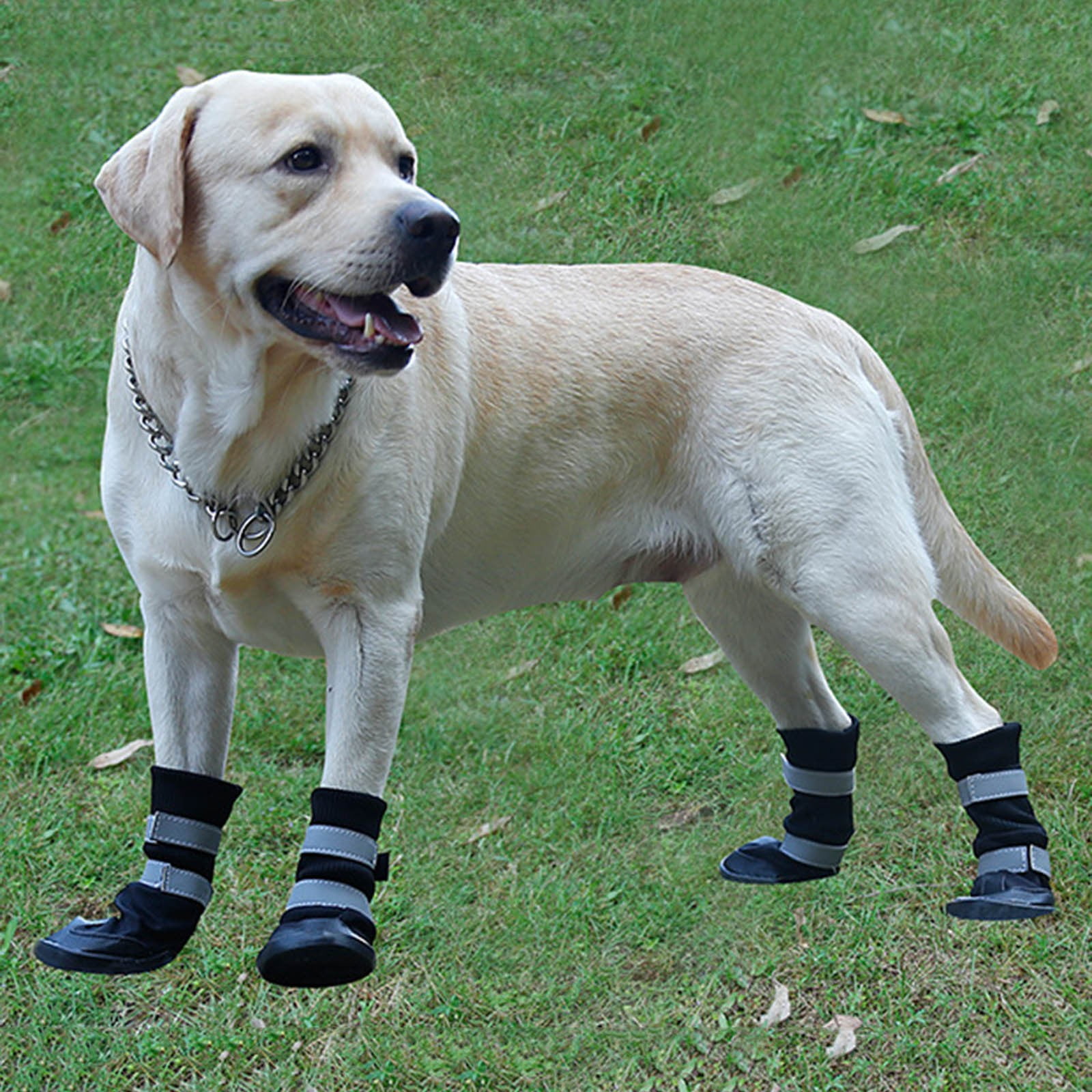 Pet Classic Dog Long Shoes Large Dog Golden Hair Big Dog Shoes Wear