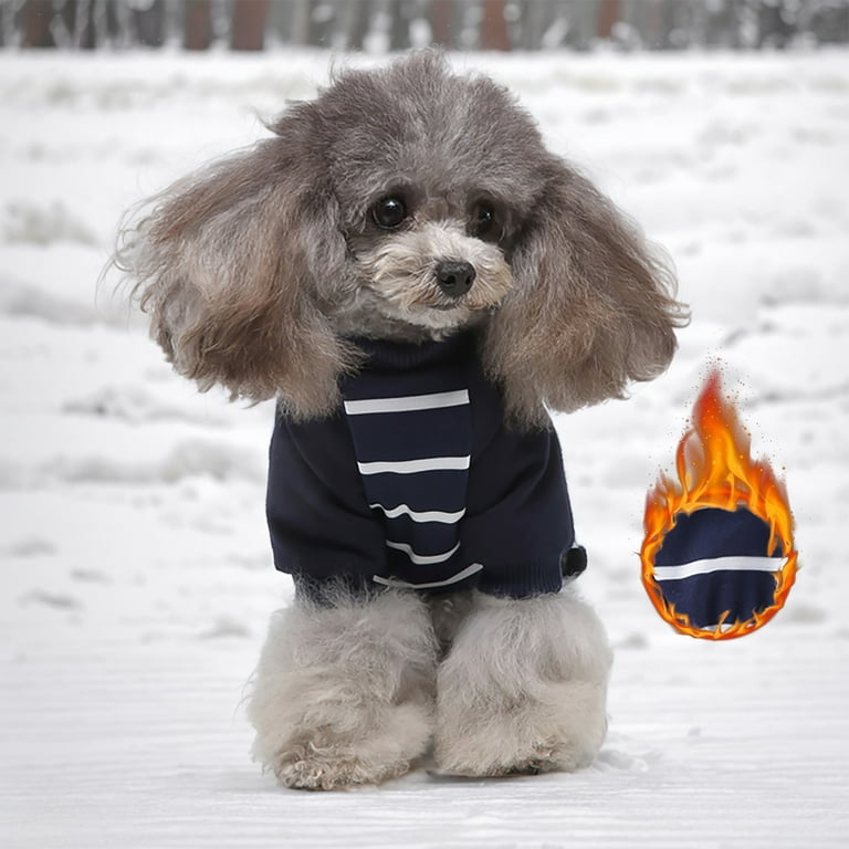 Closet for dogs top