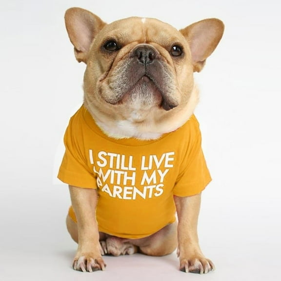 Pug Dog T Shirt Comfortable Round Neck Pet Apparel Cute Teddy Small Cat Clothes Soft Breathable Lightweight Puppy Outfit