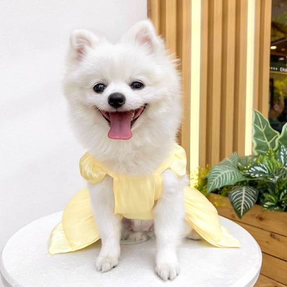 Pet Clothing For Dogs And Cats - Elegant Wedding Style Dress With Bow And D Ring For Small Breed Summer Tutu Skirt Cute Puppy Outfit Indoor Outdoor Use Pet Apparel, 13.8 inch, Yellow