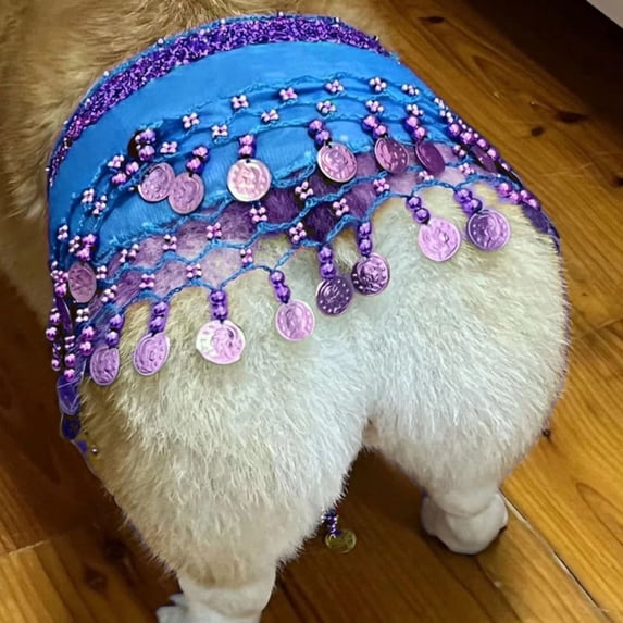 Pet Clothing for Dogs – Belly Dance Waist Chain Hairy Curtain Sequin ...