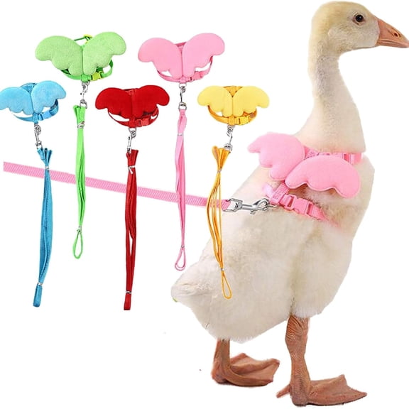Pet Cole Duck Outside Walking Harness Leash, Adjustable Outdoor Training Traction Rope for Goose Chicken Hen