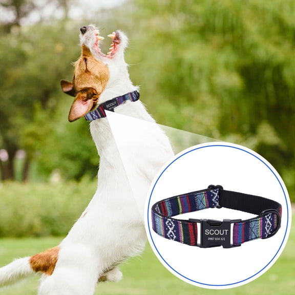 Pet Collar for Dogs, Personalized Dog Collar, Custom Dog Collar with Name, Quick Release Dog Collar, Xs 12 Inch Size Black Metal Buckle Bohemian Woven Pattern Daily Walk Dog