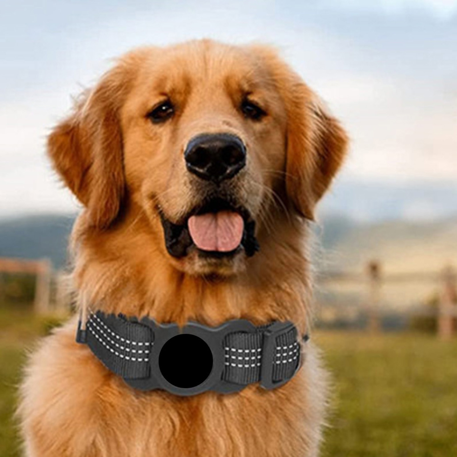 Pet Collar Reflective Cat Dog Tracking Collar with AirTag Holder