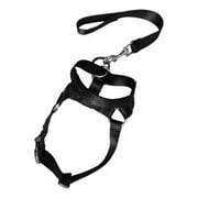 Pet Collars Comfortable No-Pull Dog Harness with Leash, Adjustable Pet Vest for Small to Large Dogs, Reflective Straps, Black as show One Size