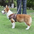 thumbnail image 1 of Dog Harness and Leash Set No Pull Adjustable Reflective Soft Mesh Vest Step In Harness for Small Dogs Puppies Cats Comfortable Secure Walking, 1 of 5