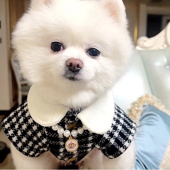 Pet Collars Product Catalog - Elegant Pearl Necklace for Cats and Dogs Delicate Pet Pendant Accessory for Everyday Wear