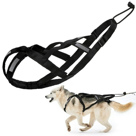 Pet Collars Product Category Harness for Exercise and Weight Pulling Sledding Activities Includes Mushing Bikejoring Skijoring Canicross Scootering Large Running Dog Sledding