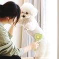 thumbnail image 1 of Pet Comb Stainless Steel Needle Massage Cleaning Needle Comb Hair Removal Brush Portable One Click Self Cleaning Comb Grooming Tools, Green -No.0379, 1 of 6