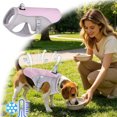thumbnail image 1 of Pet Cooling Evaporative Vest, Water Activated Breathable Summer Sun Protection Jacket Adjustable for Small to Large Dogs,Pink,M, 1 of 5
